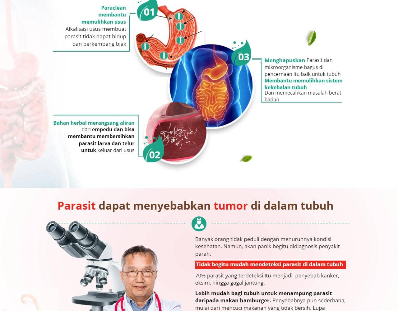 Paraclean 4