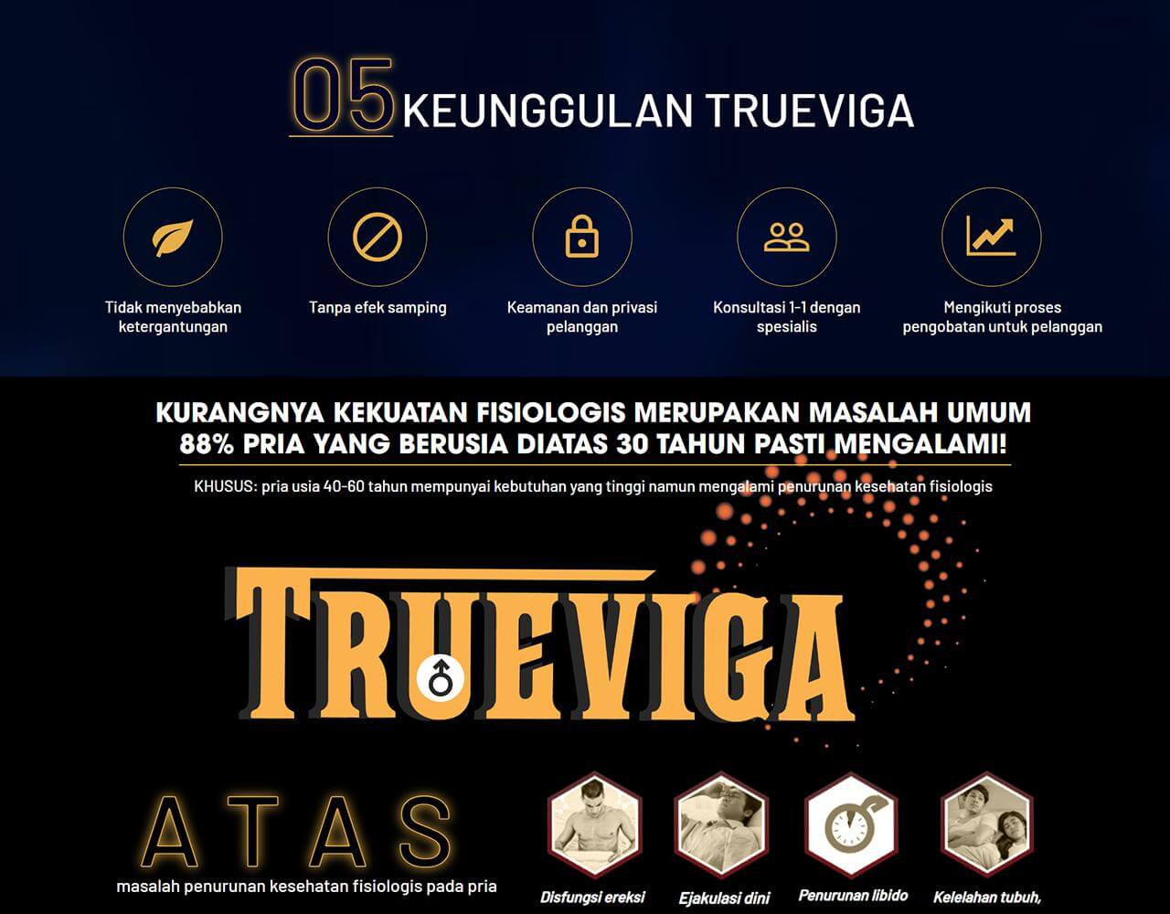 Trueviga 2